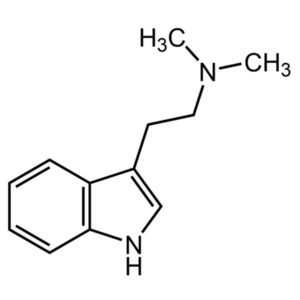 dimethyltryptamin kaufen