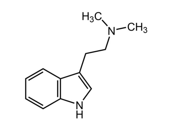 dimethyltryptamin kaufen